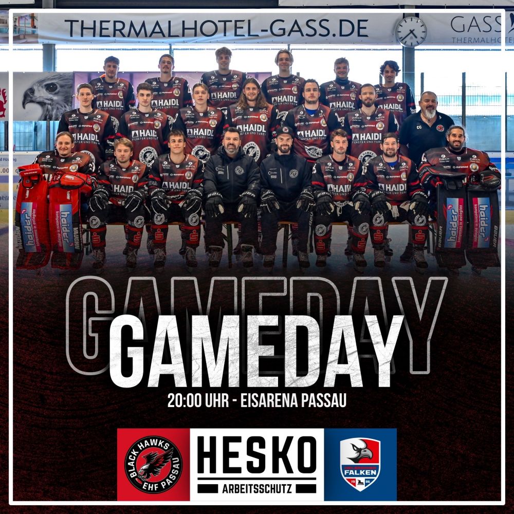 Gameday Heilbronn 08092023
